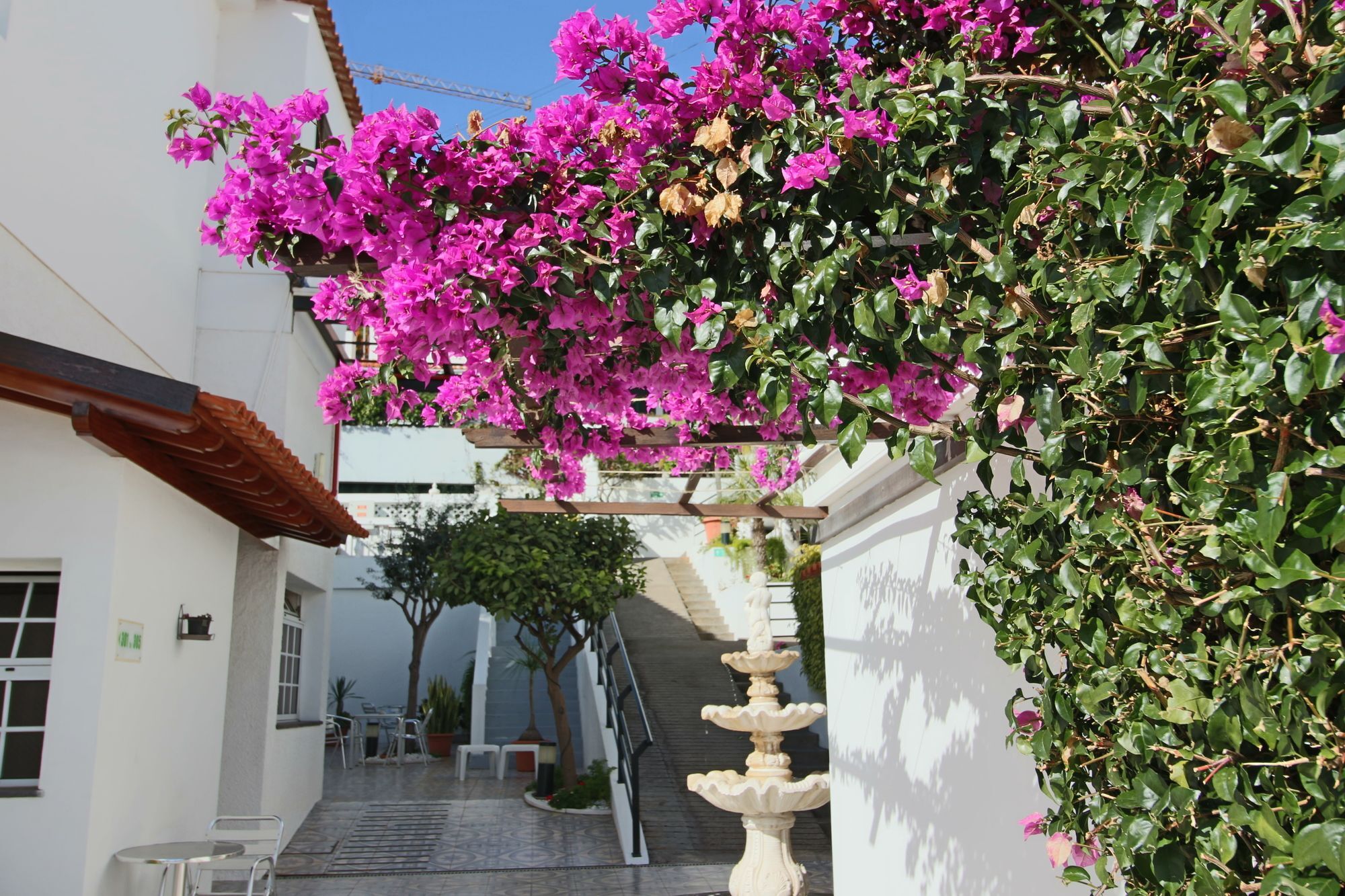 Guesthouse Vila Lusitania 丰沙尔 外观 照片